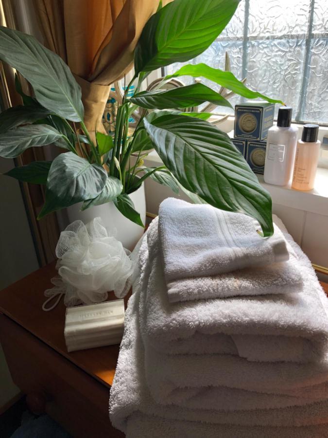 Wynberg House Bed & Breakfast סוואנסי מראה חיצוני תמונה