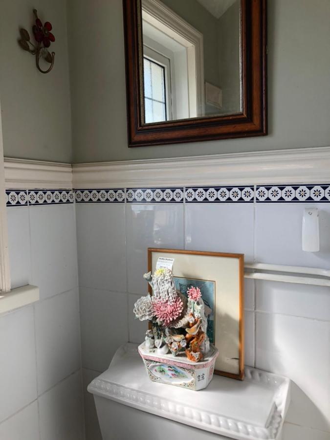 Wynberg House Bed & Breakfast סוואנסי מראה חיצוני תמונה